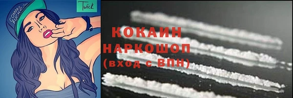шишки Арсеньев