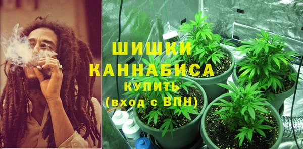 шишки Арсеньев