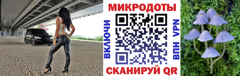 Купить где  Саяногорск  Галлюциногенные грибы мухоморы 